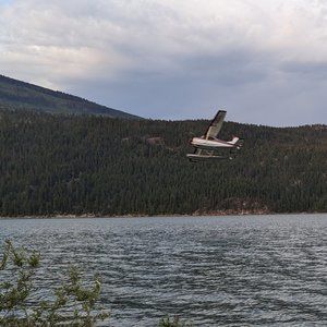 Meet your Posher, L. Webby